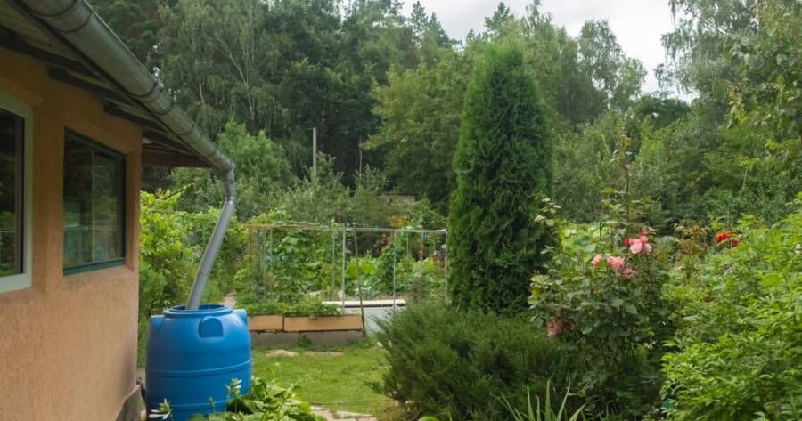 Creating a Rain Garden to Manage Stormwater Runoff